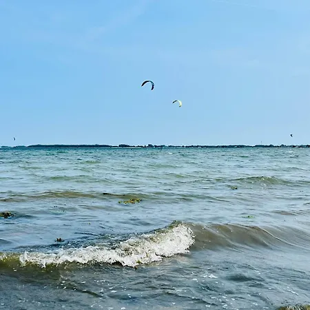 Apartment Strandmuschel Gelting